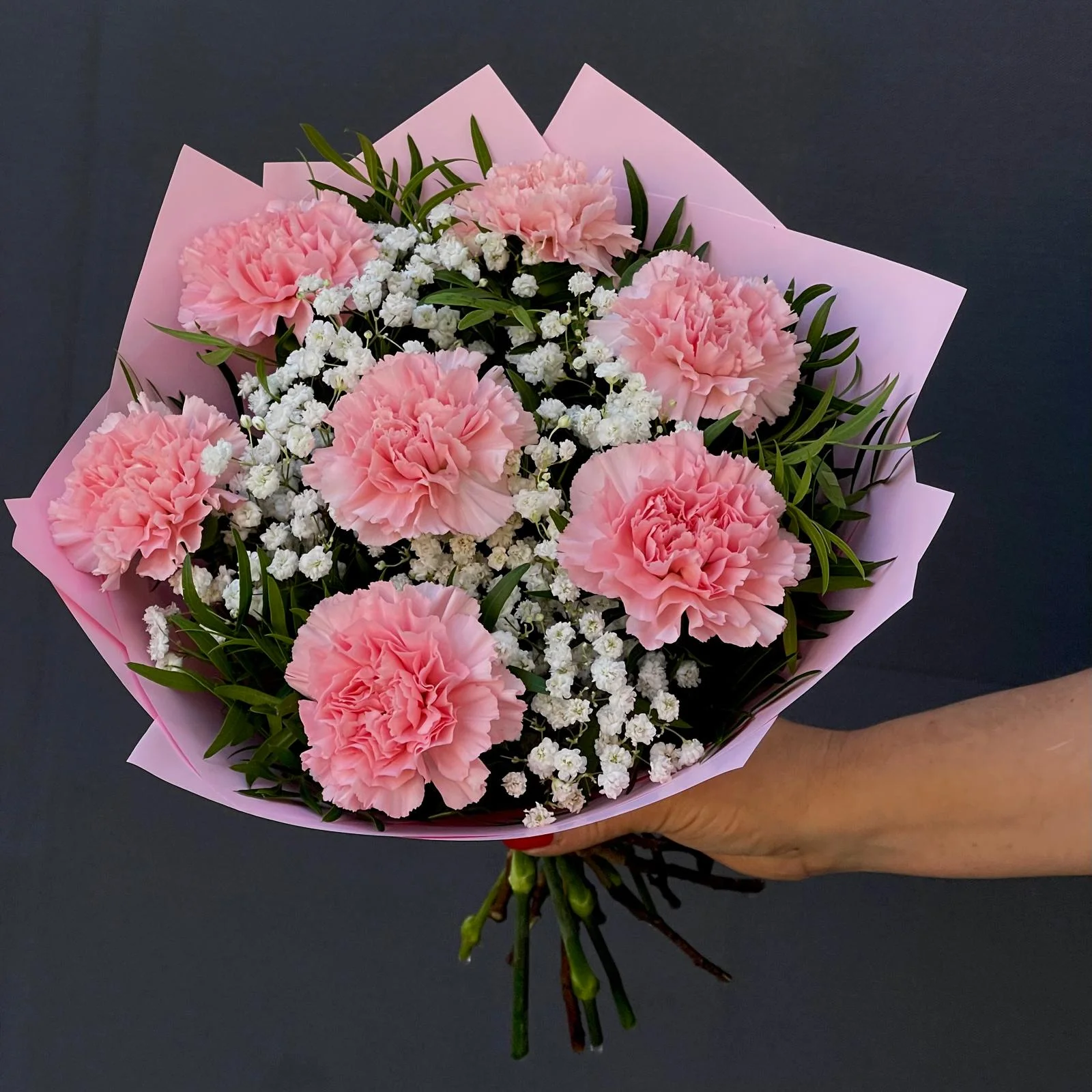 Dianthus