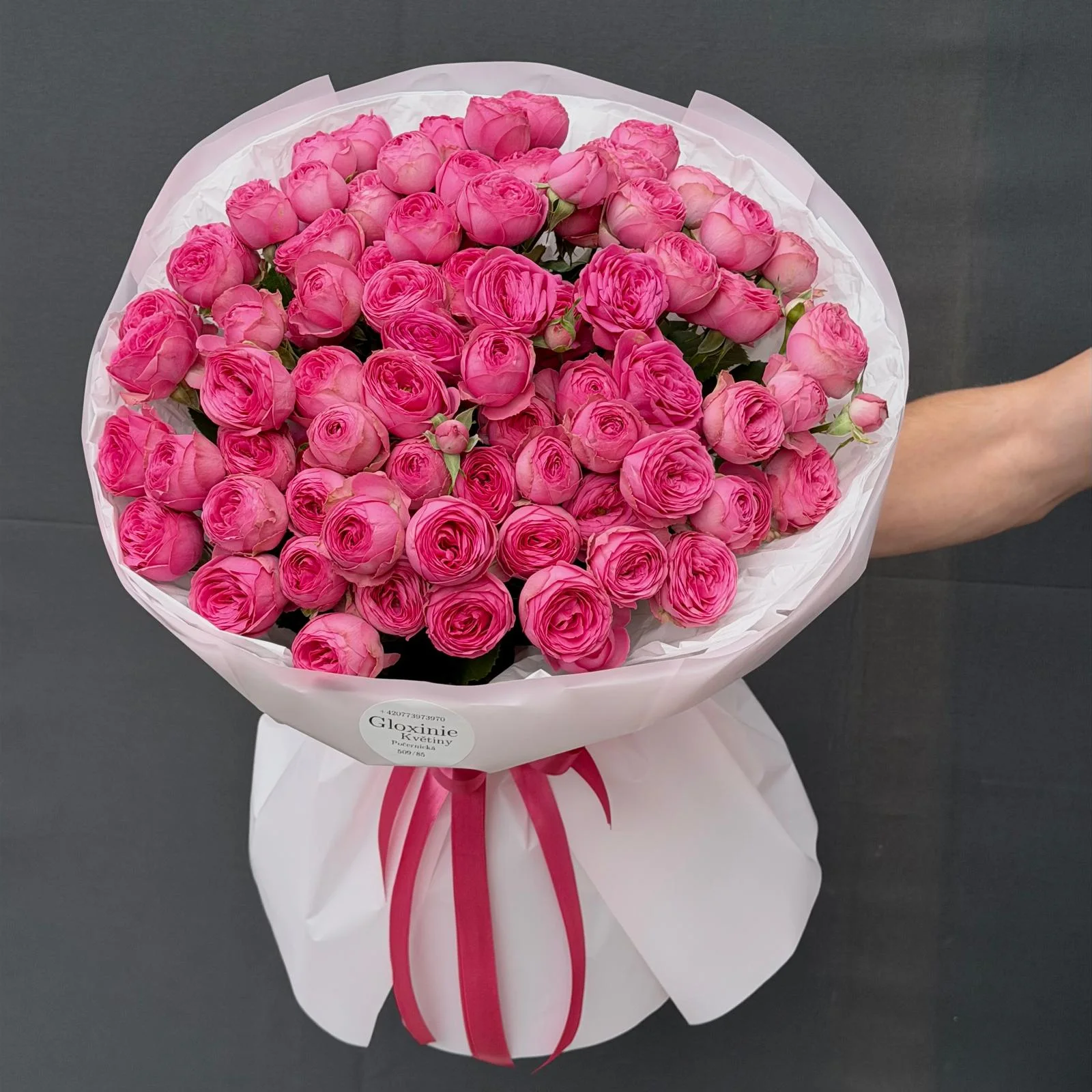 Sweer Rose
